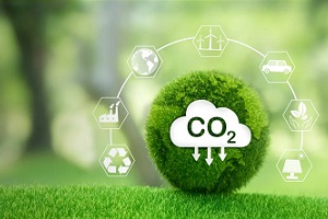 Crédito de Carbono